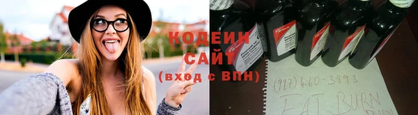 крисы Переславль-Залесский