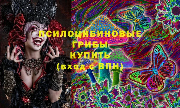 Альфа ПВП Пересвет