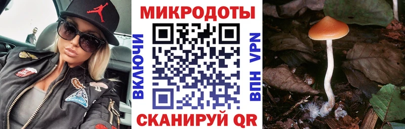 Псилоцибиновые грибы Psilocybe  блэк спрут ССЫЛКА  Липки 