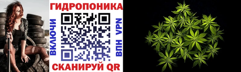 Конопля конопля  Липки 
